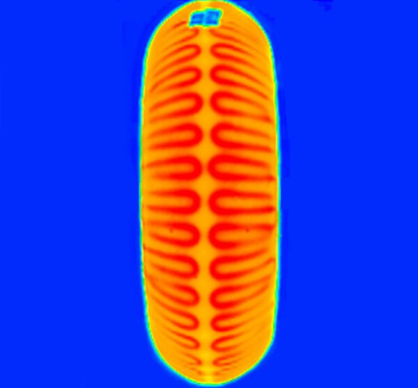 Fremdfabrikat-I-600x558