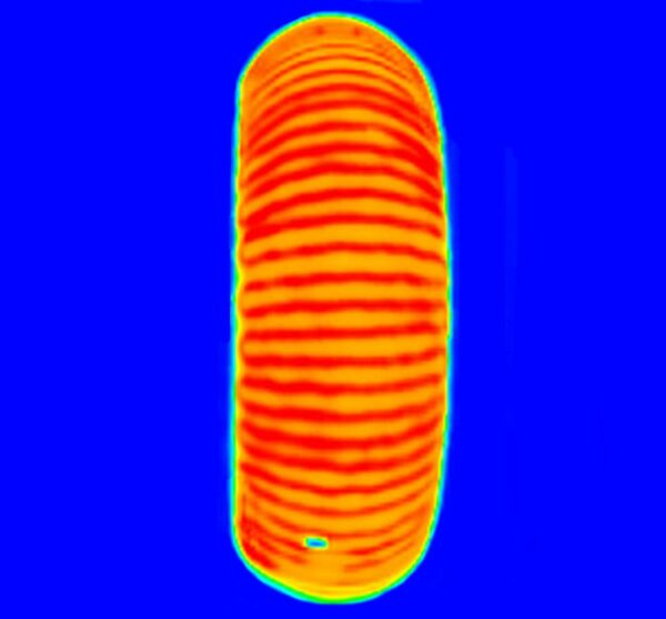 Fremdfabrikat-II-600x557