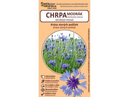 chrpa modrák
