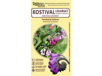 kostival lékařský