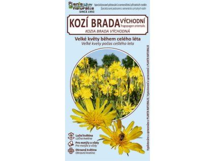 kozí brada východní