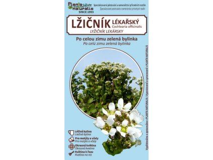 lžičník lékařský