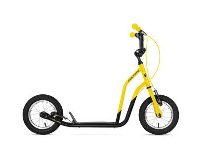 calypso 2020 yellow