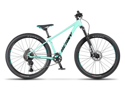 beany blaster 26 mint