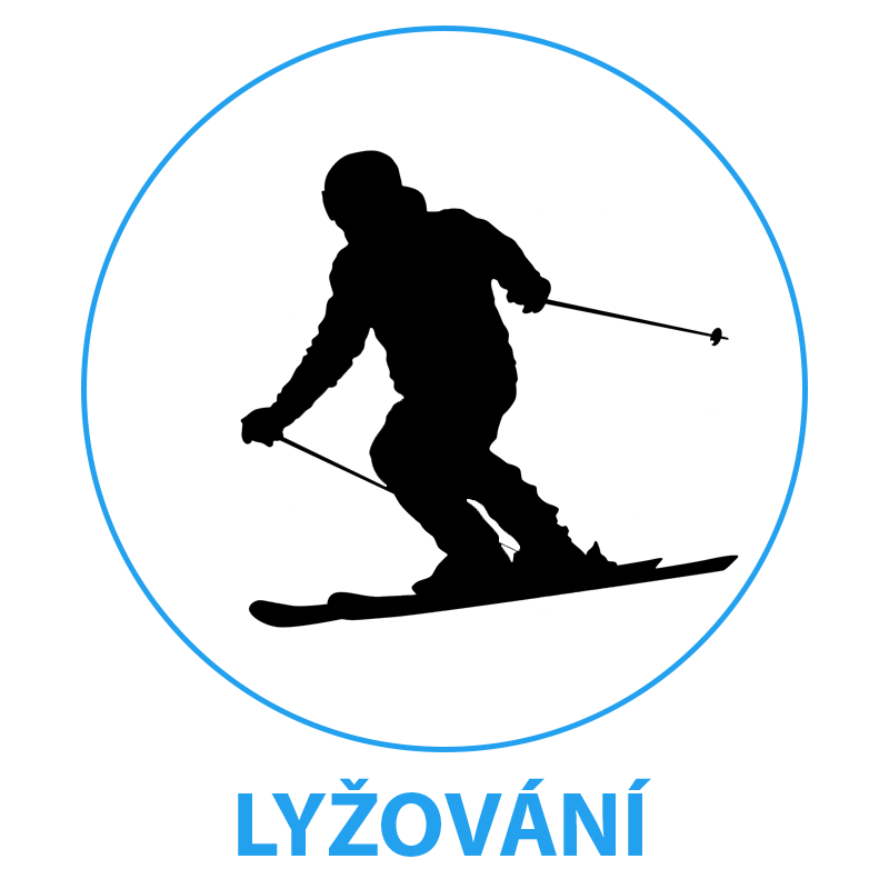 lyzovani