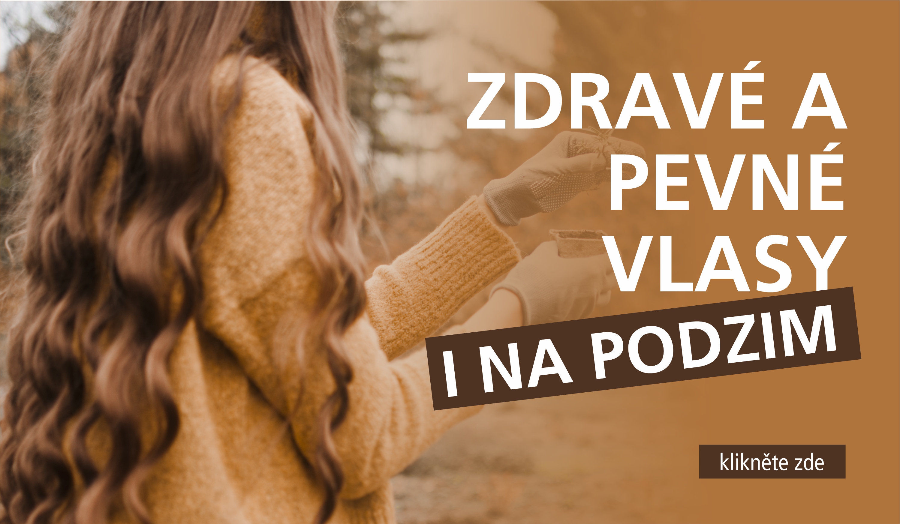 obrázek podzim nabídka