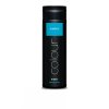 58926 subrina colour direct turquoise 200ml