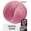 pastel rose 1010018