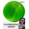 fluorescent green 1010011