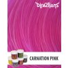 50601 directions barva carnation pink 88ml