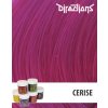 50604 directions barva cerise 88ml