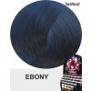 60075 directions barva ebony 88ml