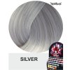 61743 directions barva silver 88ml