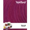 50625 directions barva tulip 88ml