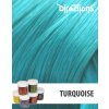 50628 directions barva turquoise 88ml