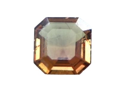 paparadsha removebg preview