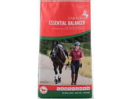 Essential Balancer