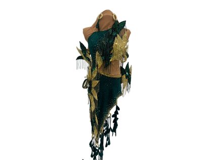 Forest Green and Gold Latin Dress
