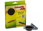 Lucky Reptile Locusta Jelly 4x 15g