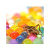 f91659b647bf170d2dded4955c86f7c3 habistat h2o balls vodni kulicky pro hmyz 4