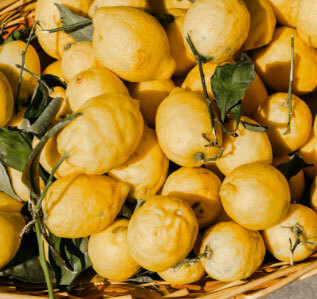 producenti-citrus