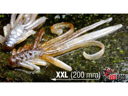 44776 redbass nymfa xxl brown silver