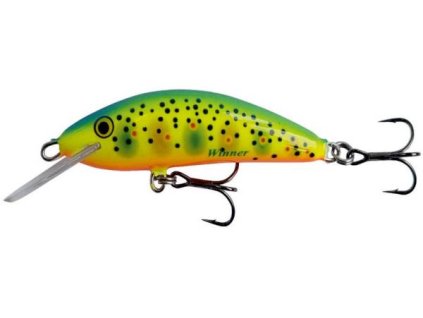 Kenart Wobler Winner 4 RX