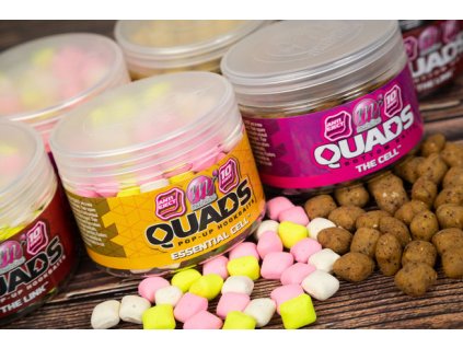 Mainline Quads Pop up 10 mm (Příchuť Link)