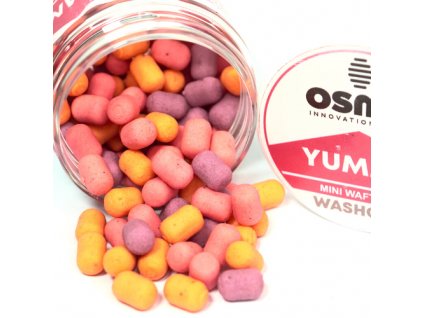 osmo mini larwa wafters yummy 2