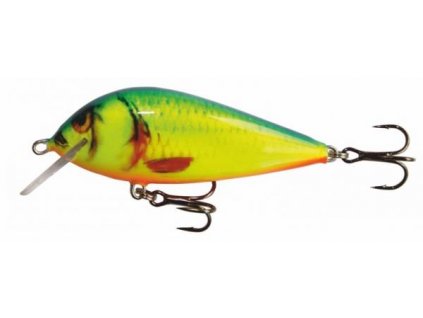 Kenart Wobler Bass 7 NRX