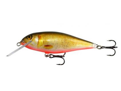 Kenart Wobler Falcon 8 NG