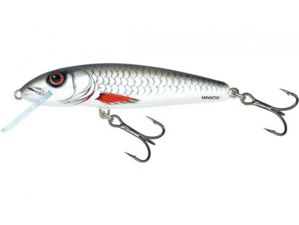 minnow qmw023