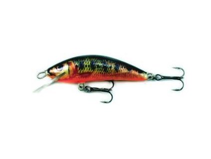 Kenart Wobler Winner 3 NM