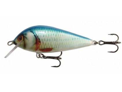 Kenart Wobler Bass 7 NRB