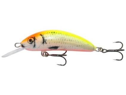 Kenart Wobler Fox 8 YR