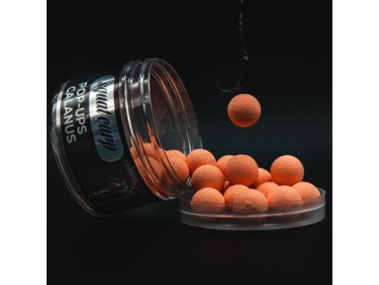 Screenshot 2025 11 13 at 13 33 22 Pop Up Calanus Squat Carp oficiální eshop