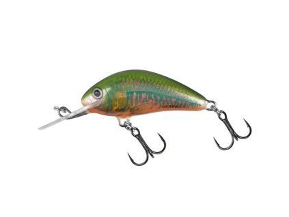 salmo wobler hornet sinking holo oikawa