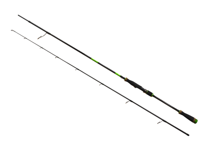 G13138 243 1