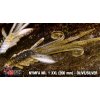 44779 redbass nymfa xxl olive silver