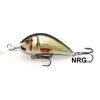 50890 kenart wobler shark 4 nrg