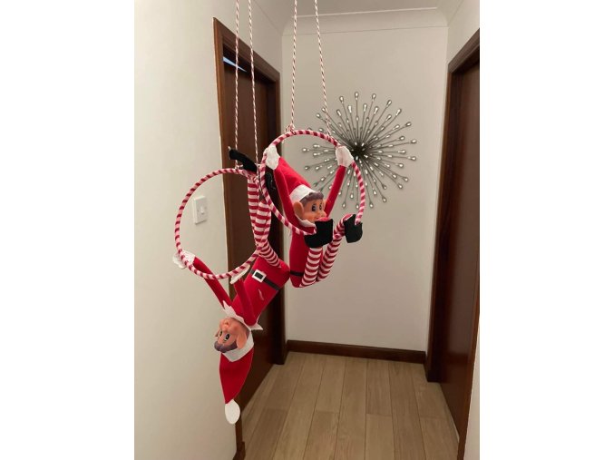 Elf/ka BEZ domečku/SOUROZENCI