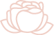 sarra_symbol_vacuslim_kvetina