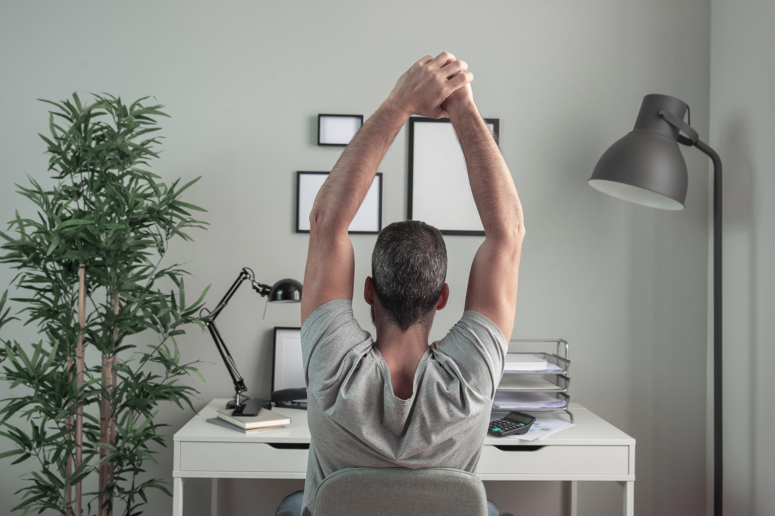 studiosarra_homeoffice_bolest-zad