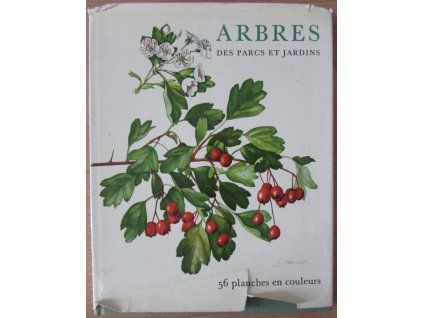 Arbres des parcs et jardins