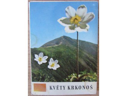 Květy Krkonoš
