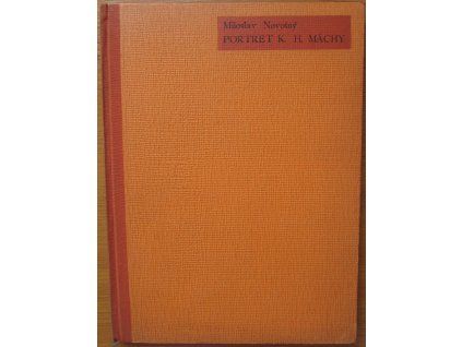 Portrét K. H. Máchy