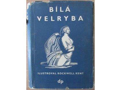 Bílá velryba