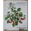 Arbres des parcs et jardins