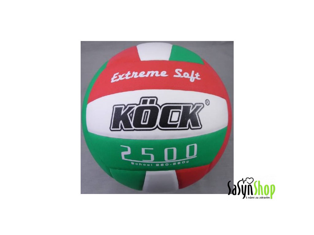 Volejbalový míč SCHOOL 2500