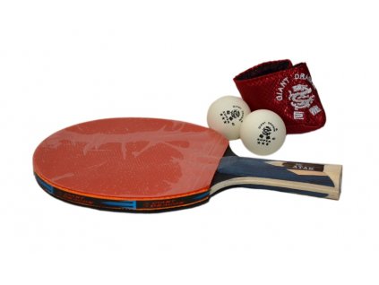 palka na stolni tenis giant dragon atak edc 3001 3 star